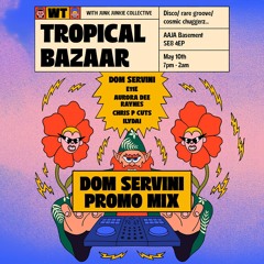 Dom Servini - Tropical Bazaar Promo Mix