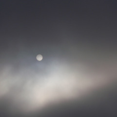 take a stroll on the moon