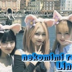 nekomimi rock
