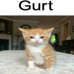 PLUH