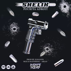 pouriya adroit_shelik