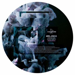 Belocca - Chemical Substance (REEON Remix)