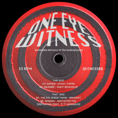 A2. Salomée  ─ Night Behaviour [WITNESS08]