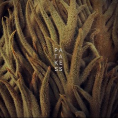 KAALMA * Patakess * FREE DL