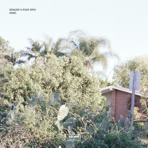 Devaloop & Ryler Smith - 02 - Doors