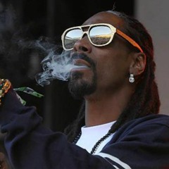 [FREE] Snoop Dogg Type Beat - "Stoney"  (prod. Mhaegar)