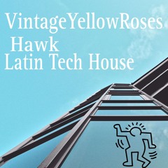 Hawk (Latin Tech House)