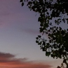 A Conversation With Gnomads