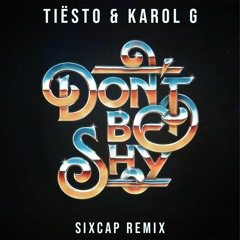 Tiësto & Karol G - Don't Be Shy (Sixcap Remix)