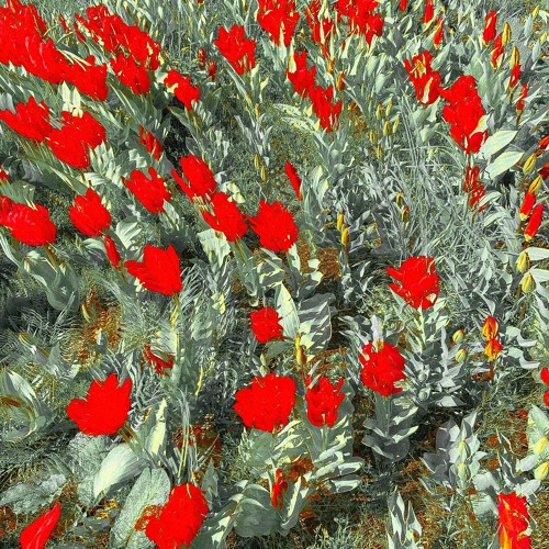 Inside Out (Odyssey Gradam Edit)