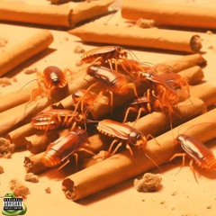 resinonmylips - Pay Attention (djsnekmanez)