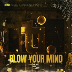 VEATZ - Blow Your Mind (Radio Edit)