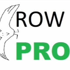 2DCAT - Crow Pro (Ft. Kitboga)