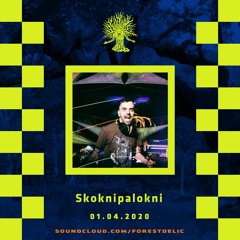 Forestdelic Curfew〔Part 9〕◉ Dj SKOKNIPALOKNI◉
