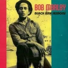 Bob Marley- Who Colt The Game Dub