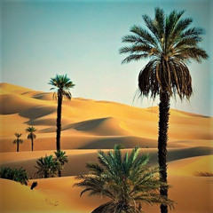 Deep Desert House