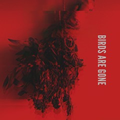Birds Are Gone