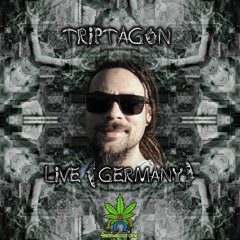 Triptagon Artist 420
