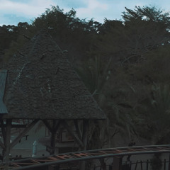 Roller-Coaster.