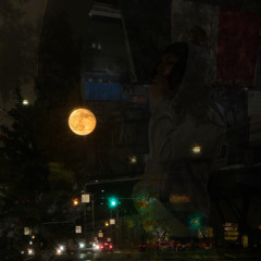 Sorrow in Melodies prod trust.ig