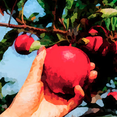 then picks and gives to me-naviarhaiku623