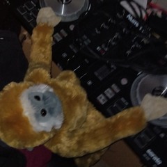sets techno chouettes