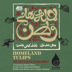 Homeland Tulips -(Lalehayeh Vatan) - Hamed Alipour