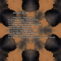 January 25 Mix
