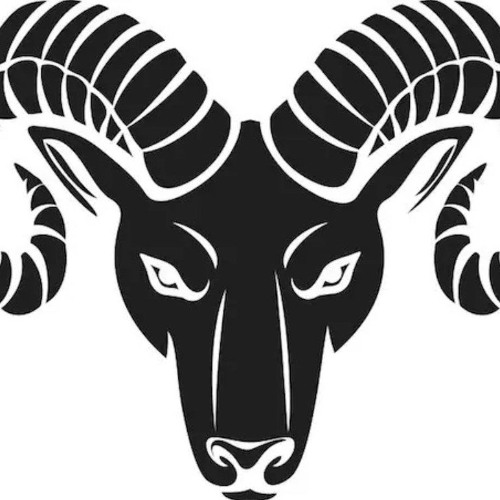 Rebel Home Alone Set