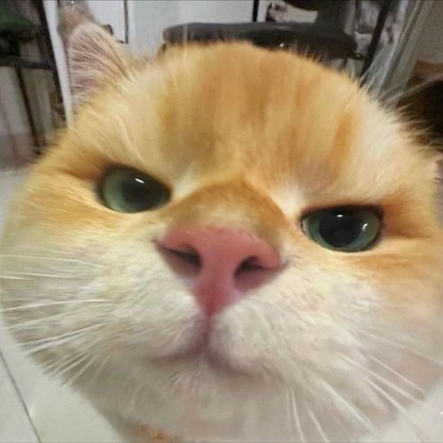 Blue ocean (feat.예준)