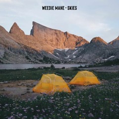 Weedie Mane - Skies.