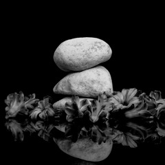 Made of Stone (Stone Roses cover)