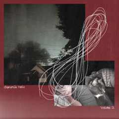 chamomile radio #2