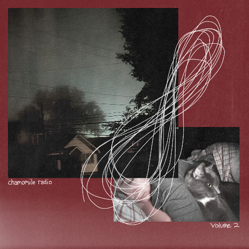 chamomile radio #2