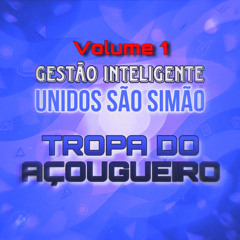 CD - GESTÃO INTELIGENTE UNIDOS SÃO SIMÃO UNIDOS DO AÇOUGUEIRIO