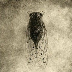 Hypnokrono - Cicada 180 Bpm preview