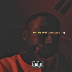 Palm Trees & The Ocean