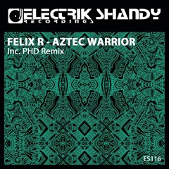Aztec Warrior [Electrik Shandy]