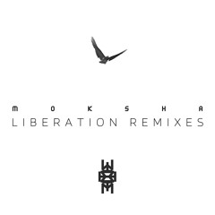 TL PREMIERE : Calagad 13 - Moksha (EC13 Remix) [Cosmic Tribe]