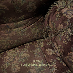 Dleeb - Wrong Pill