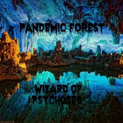 Pandemic Forest - Wizard of Psychoses (unmastered)