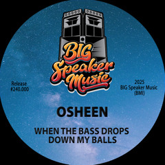 When The Bass Drops Down My Balls (Edit)