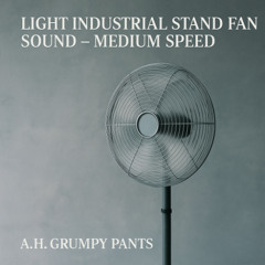 Gentle Fan Sleep Aid