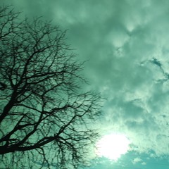 Ambient #194