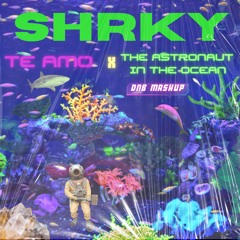 Te Amo X Astronaut In The Ocean -Rihanna (Arkala Dre ) Vs. Masked Wolf (TC remix) - SHRKY's Mashup