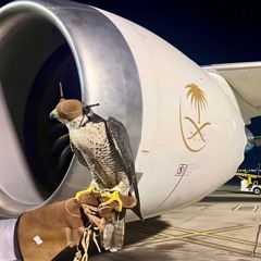 ‎⁨شيله يالدواسر ياهل القب الاصايل : كلمات الشاعر مبارك المري اداء : دغش الدوسري (صوت)⁩.m4a