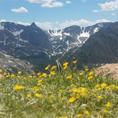 Review Special Price Rocky Mountain National Park In Summer Tour From Denver