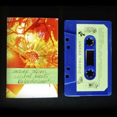 UNDAE TROPIC : Extra Flores (Extrait) (Errata C20 series vol. 30)