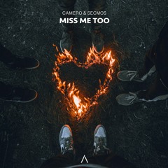 Camero & SECMOS - Miss Me Too