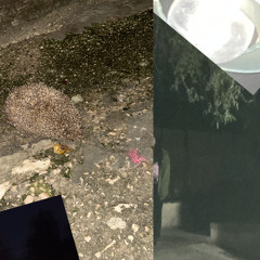 nem engedhetem el [oszinten nem is tudom] (inuyasha)